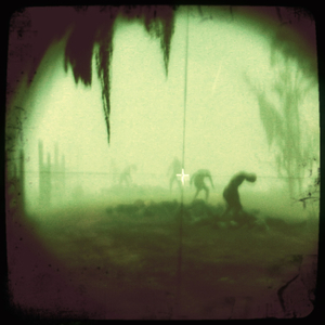 Hip 341952224.415646