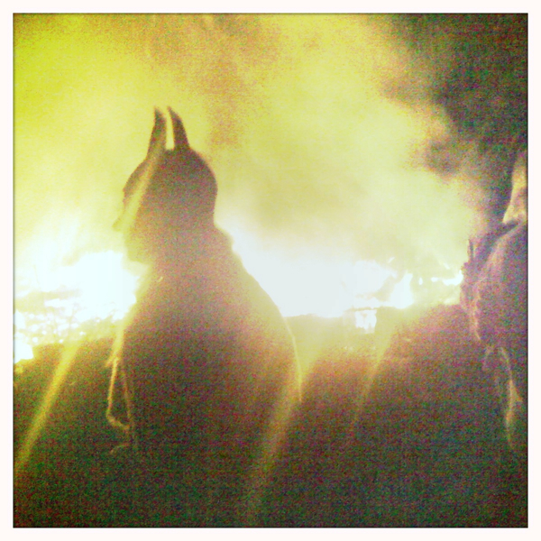 Hip 341634762.349030