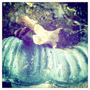 Hip 341953568.427170