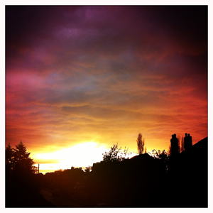 Hip 341770994.482394