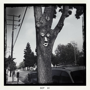 Hip 338250269.974838