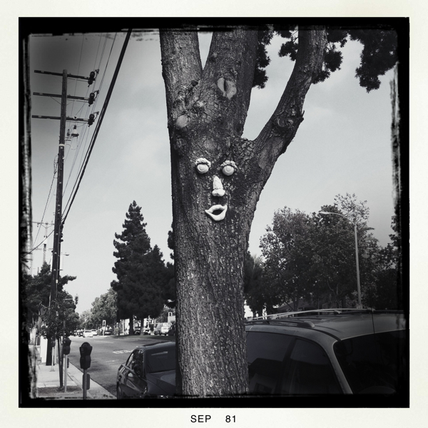 Hip 338250269.974838