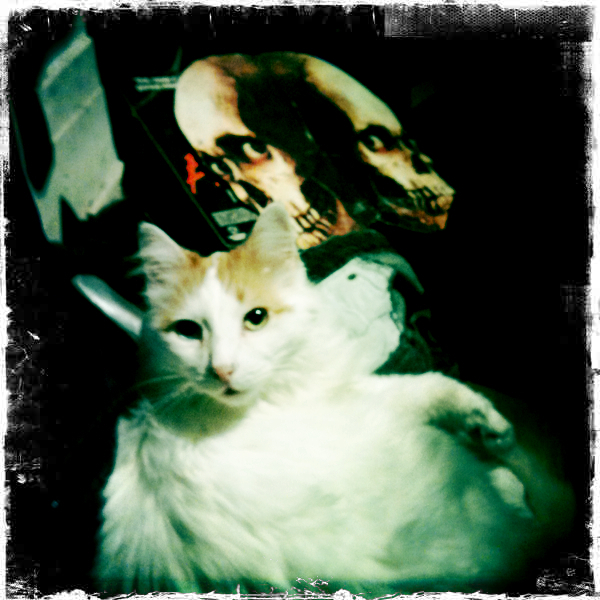 Hip 341914681.383077