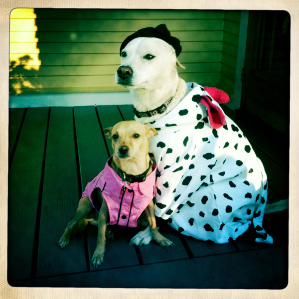 Hip 341791563.180043