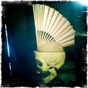 Hip 328825102.767361