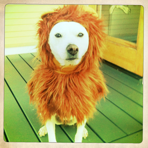 Hip 341793937.225695