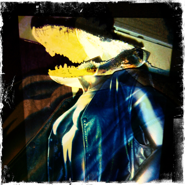 Hip 312084739.688569