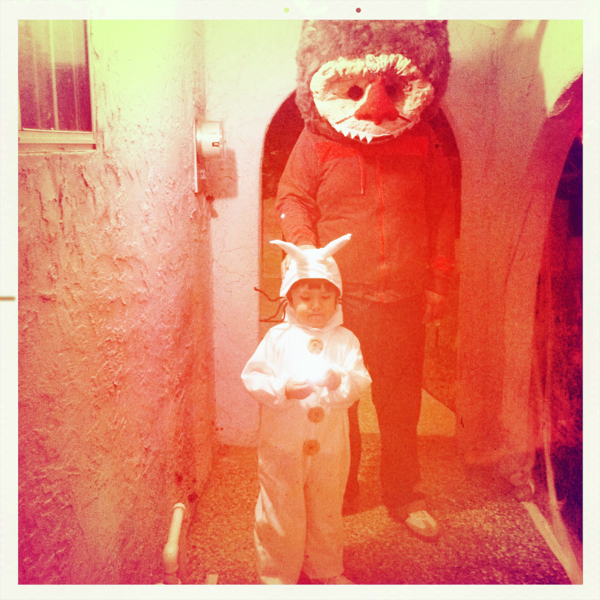 Hip 341808163.313238