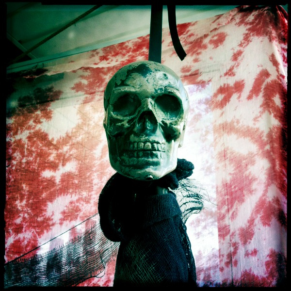 Hip 341962931.330905