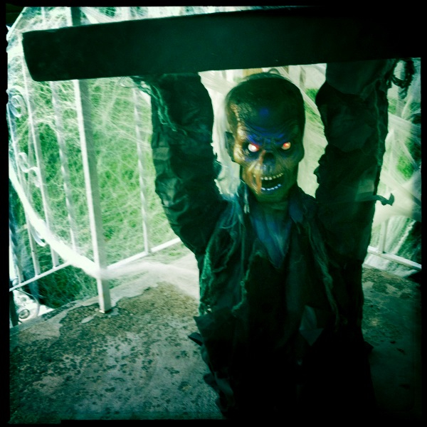 Hip 341963405.480947