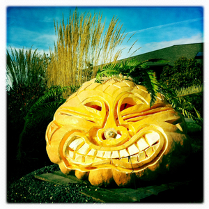 Hip 341617444.631437