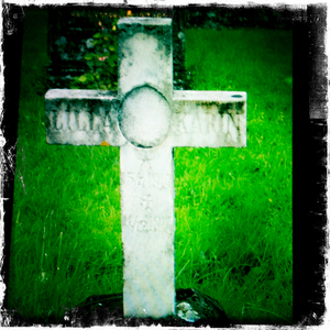 Hip 341964688.052845