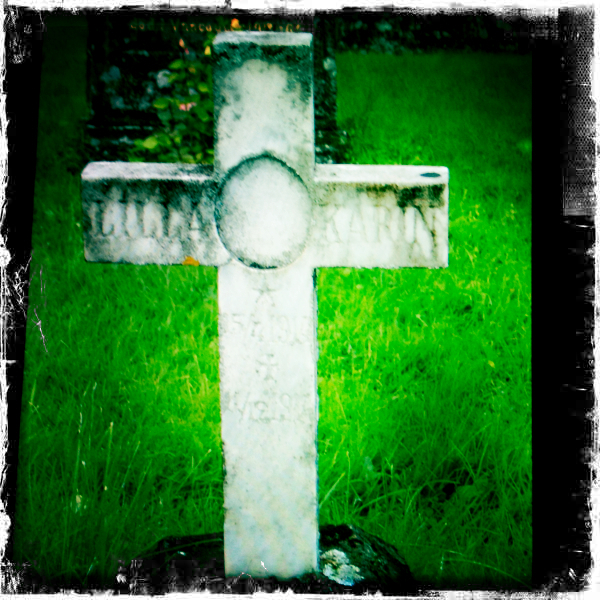 Hip 341964688.052845