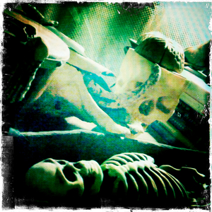 Hip 341963532.969646