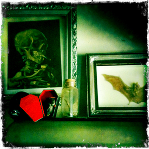 Hip 341962050.011494