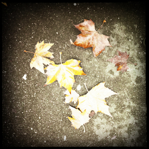 Hip 341913153.878133