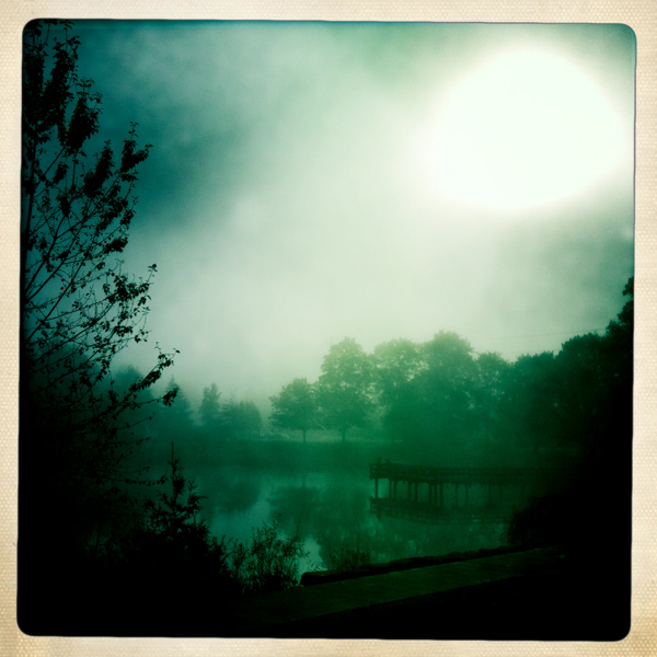 Hip 341947951.330193