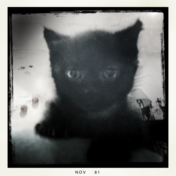 Hip 341970439.391649