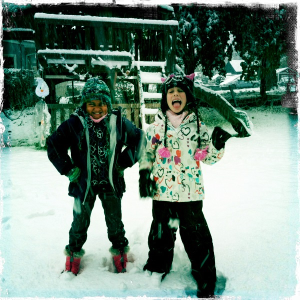 Hip 341608669.843486