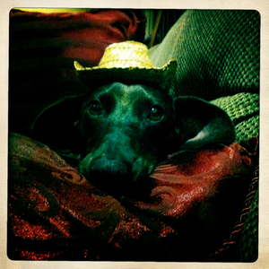 Hip 341979139.456973