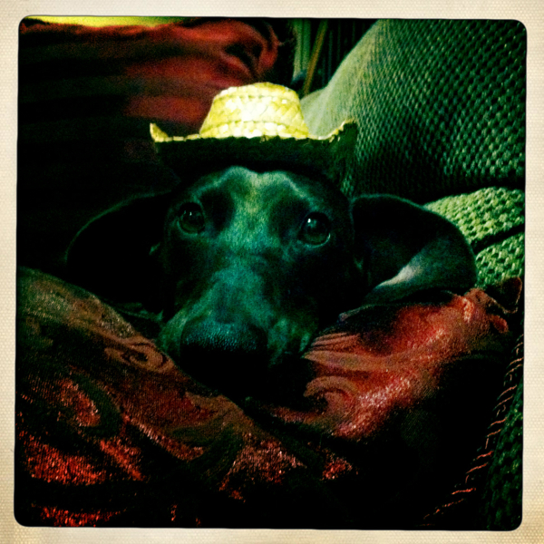 Hip 341979139.456973