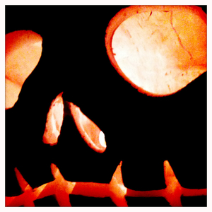 Hip 341798289.789300