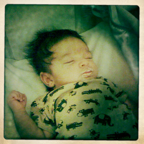 4428727602 b664cf827d