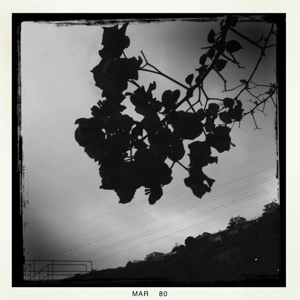 4439882847 be2ee265aa b