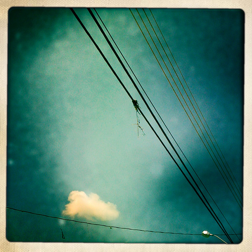 4541452738 eb47e5a9c0