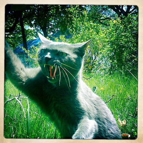 4561083855 120232396d