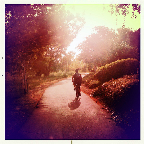 4561215759 11404d8861