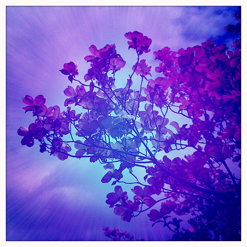 4561578207 292362b878