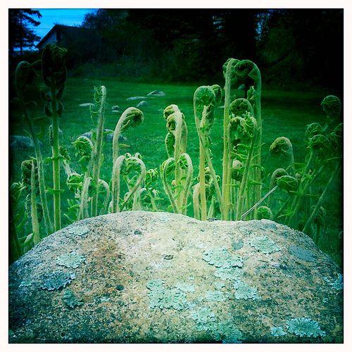 4571285851 0beb057fd2