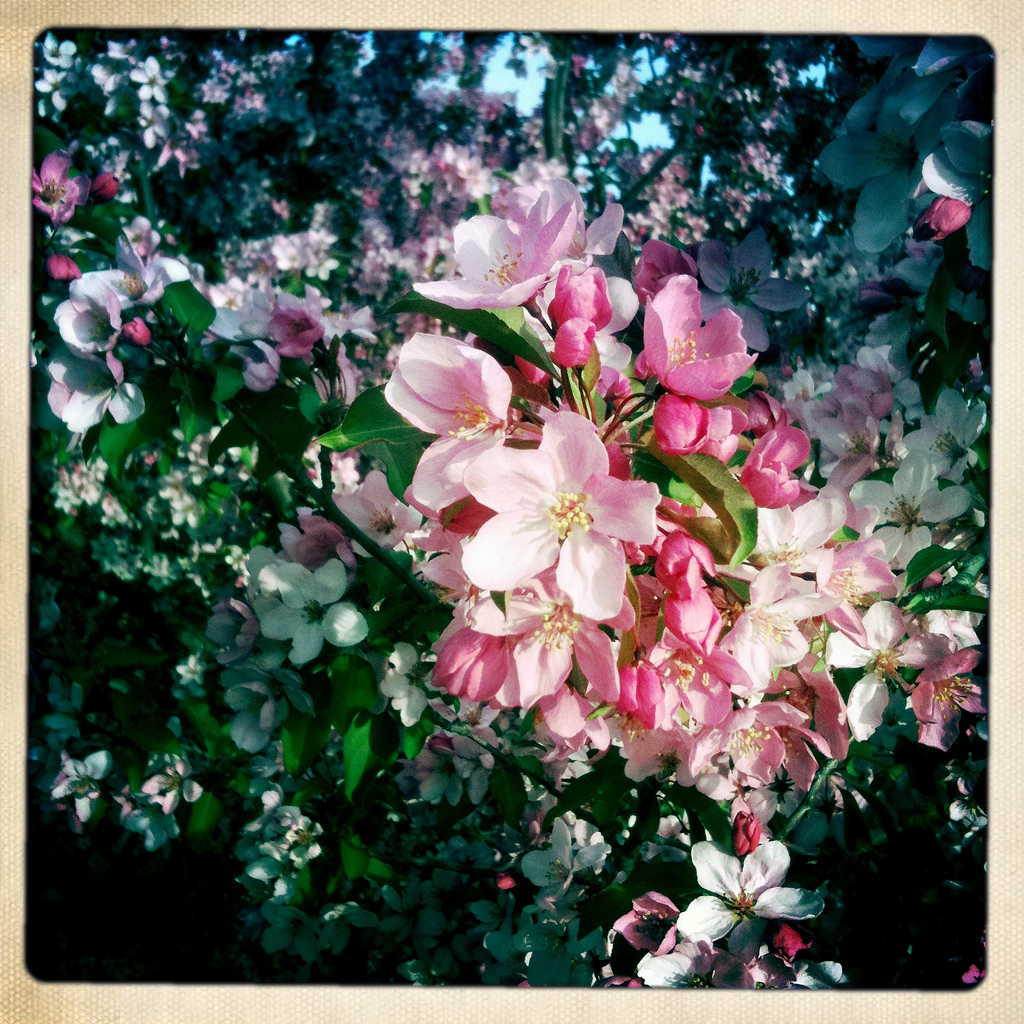 4577902751 2dc0d8caef b