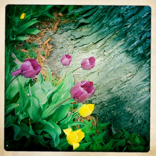 4583381574 52924f86cc