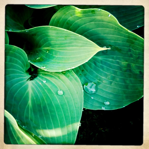 4589810121 313740de20