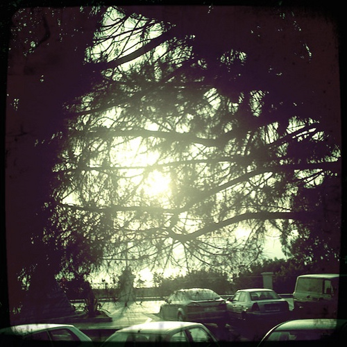 4599484684 7a6b3e3735