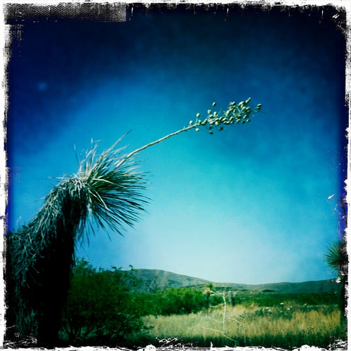 4604653340 dd631118e5