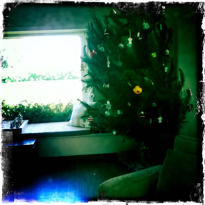 Hip 347070046.694894