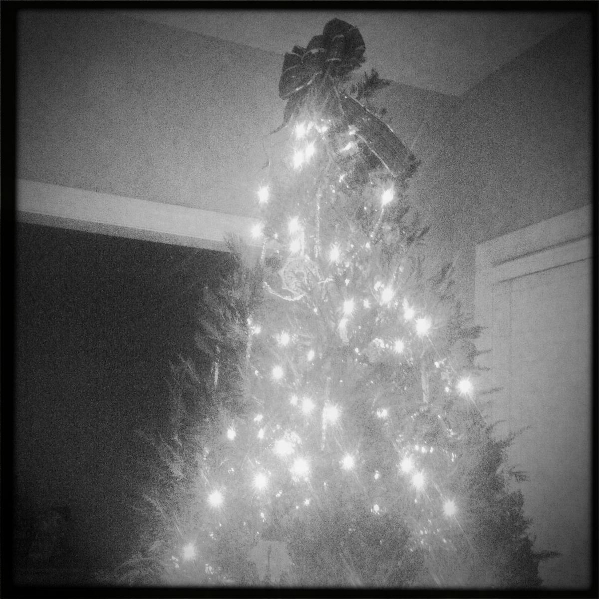 Hip 314942854.947771