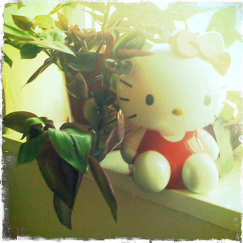 4617799271 68e76bd0ee