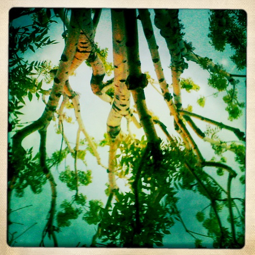 4618986938 1fddc610dc