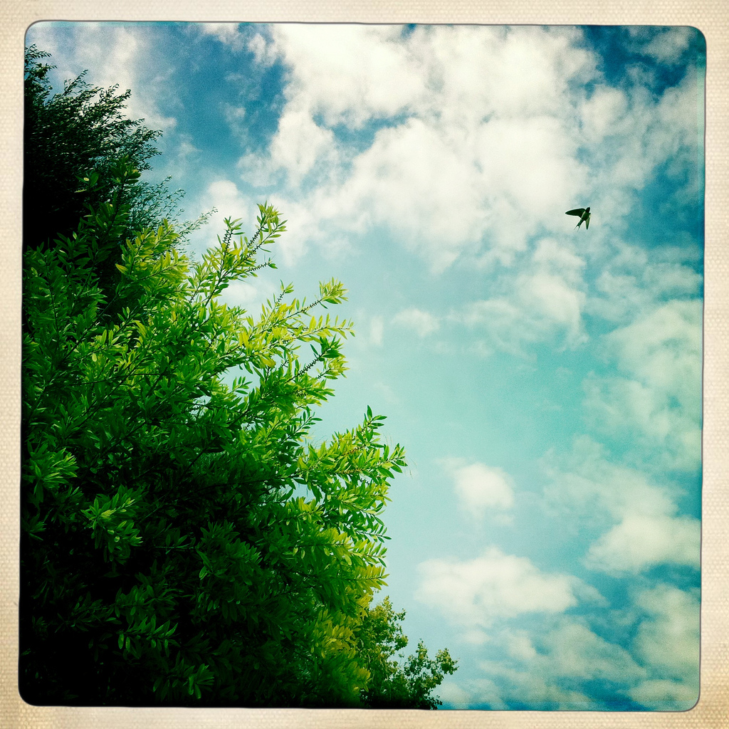 4945019156 c9038fdfd3 b