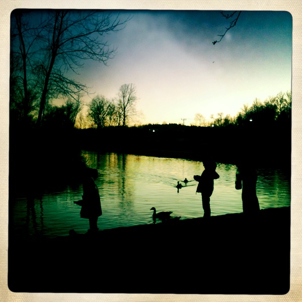 Hip 347498655.266655