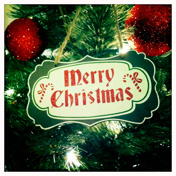 Hip 344212106.662652