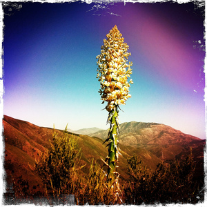 5666759366 16d82e4270 b