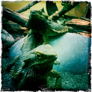 5683204824 bedabe4c79 b