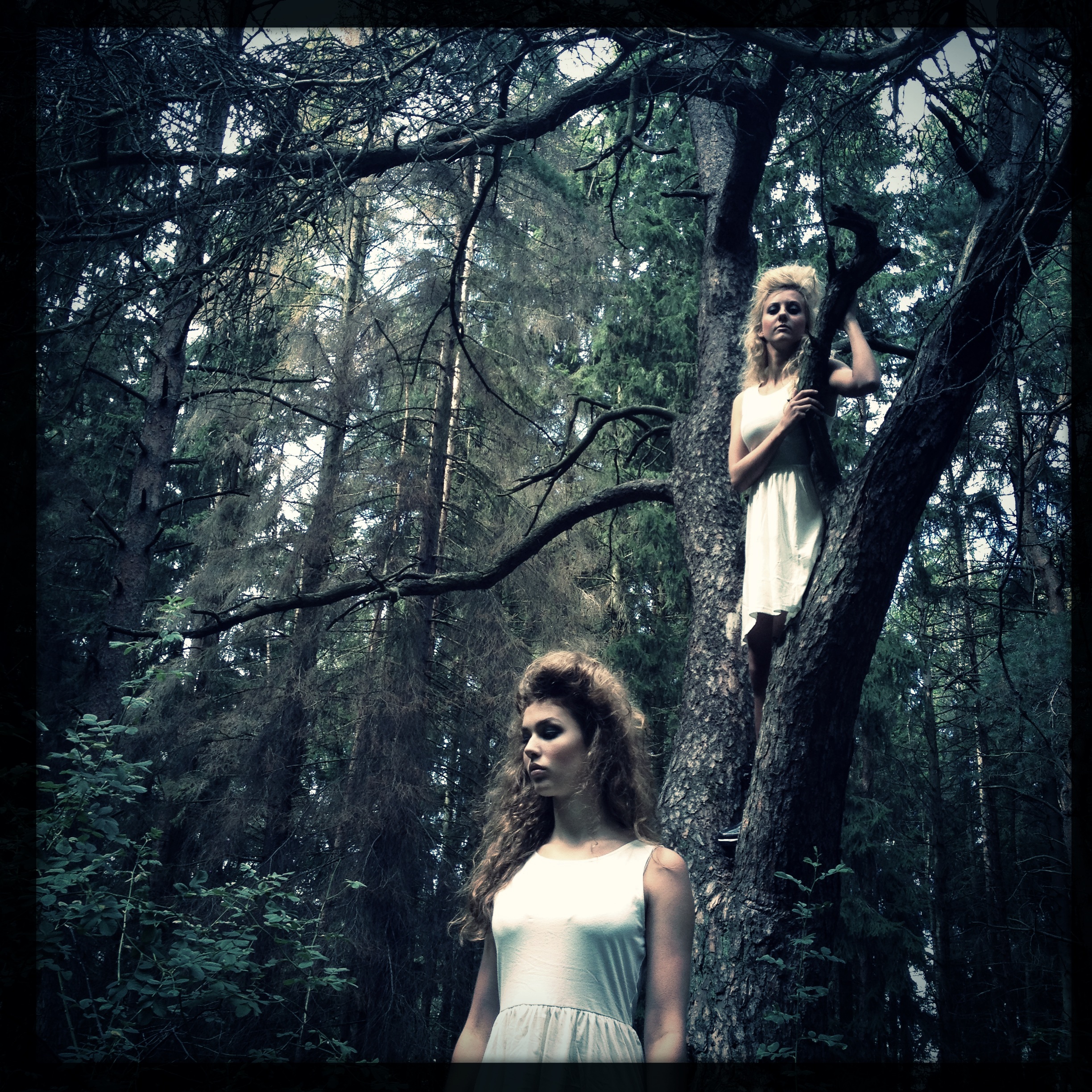 Hip 367158673.178131