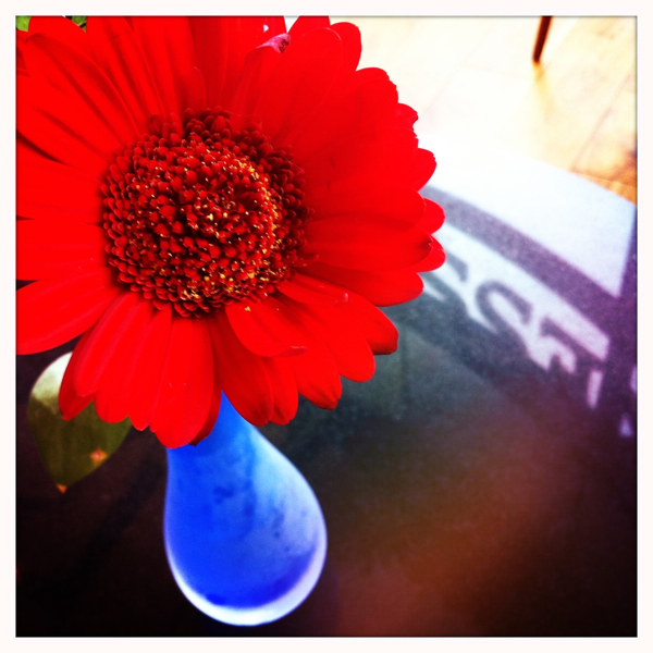 Hip 333468012.478202