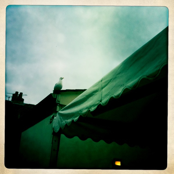 Hip 333484976.979249